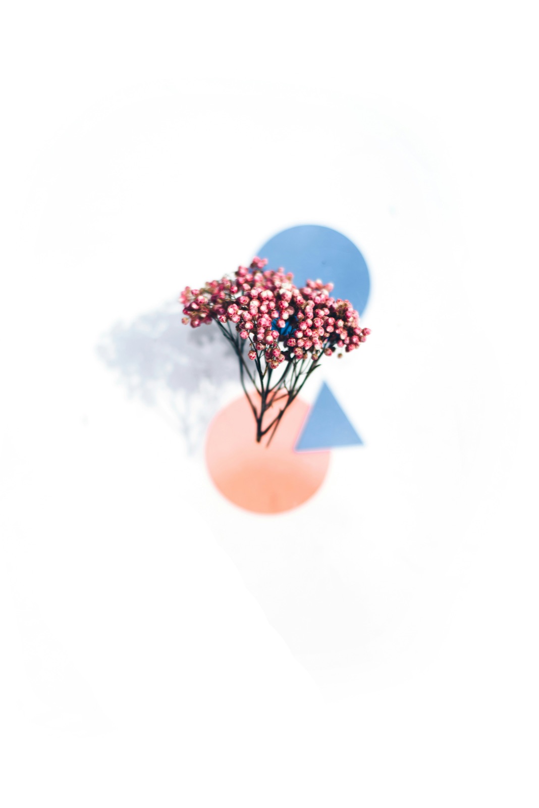 A calm lifestyle and the short lesson format